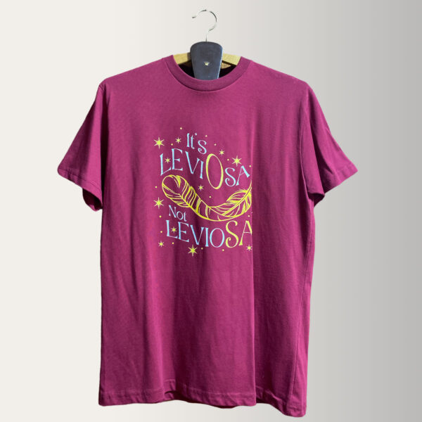 Harry Potter It's LeviOsa, Not LeavioSA